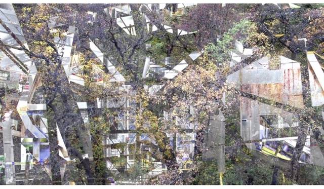 <strong>Art File 22｜「Mutation」</strong>　Louis Vuitton Foundation for Creation - Video#22011Video3 mins (loop)Photo Credit: Courtesy the Artist