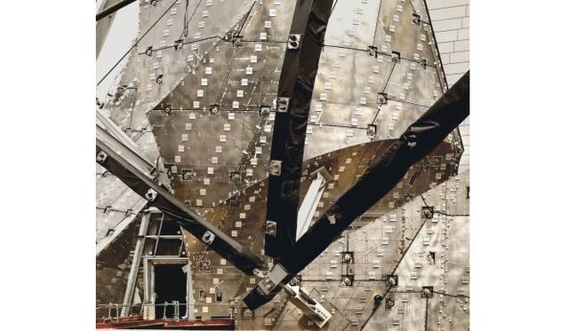 <strong>Art File 22｜「Mutation」</strong>　Louis Vuitton Foundation for Creation - Photo#22012C-Print70 x 79.5cmPhoto Credit: Courtesy the Artist