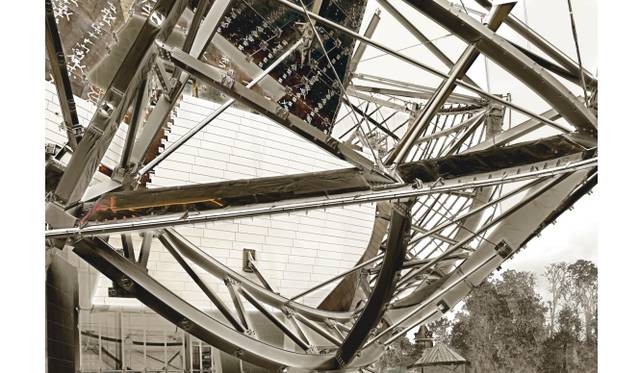 <strong>Art File 22｜「Mutation」</strong>　Louis Vuitton Foundation for Creation - Photo#52012C-Print110.5 x 163.5cmPhoto Credit: Courtesy the Artist