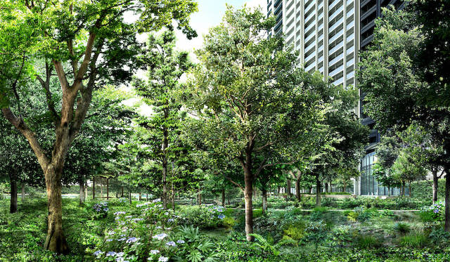 計画敷地内の緑地空間「万緑の杜」