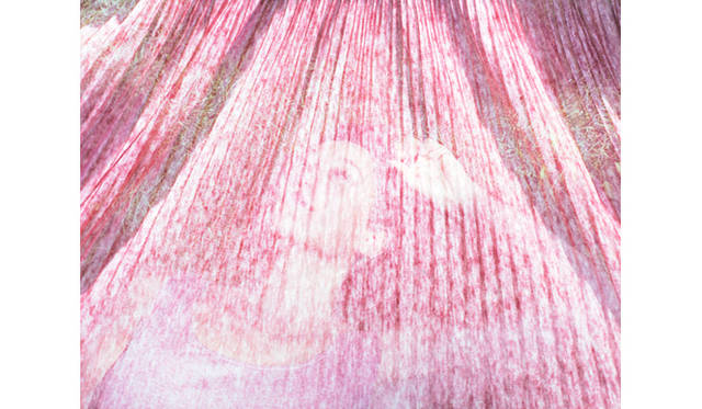 <Br / ><Br / >リーバイス® メイド アンド クラフテッド™<Br / >http://levismadeandcrafted.com/<Br / >