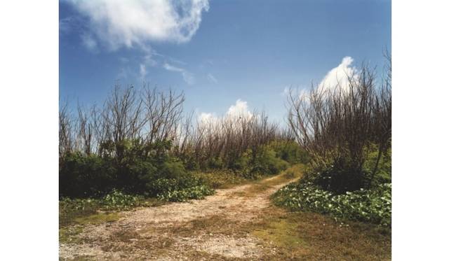 <strong>ART｜東京都写真美術館で『米田知子 暗なきところで逢えれば』展</strong>　「Scene」より 道 （サイパン島在留邦人玉砕があった崖に続く道） 2003年