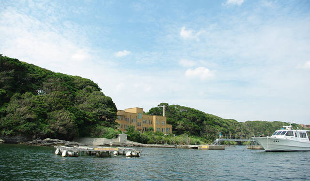 <strong>MIKIMOTO｜ミキモト</strong>　東京大学大学院理学系研究科附属臨海研究所