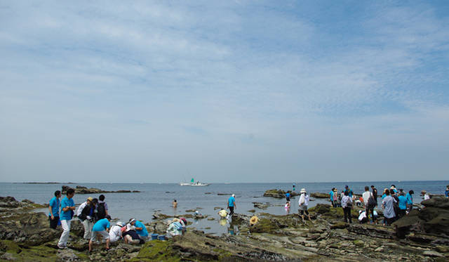 <strong>MIKIMOTO｜ミキモト</strong>　磯へ出て海洋生物を採集する子どもたち