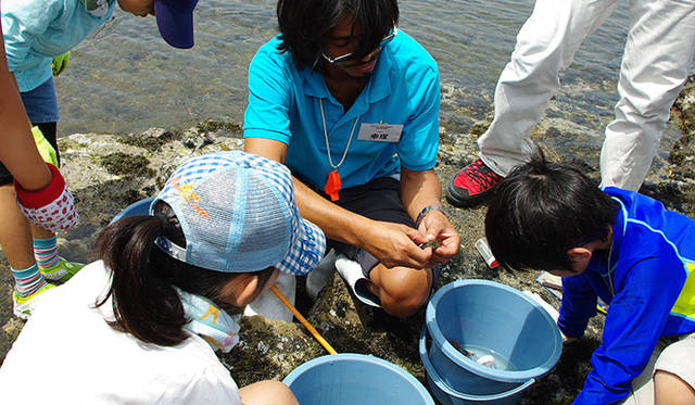 <strong>MIKIMOTO｜ミキモト</strong>　希少な天然アコヤ貝を発見