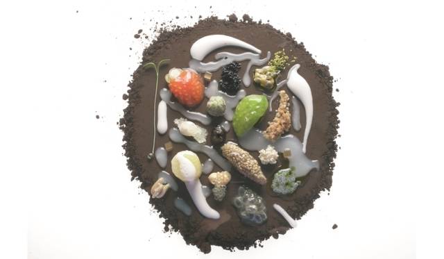 <strong>ART FILE 23｜「elBulli: Ferran Adrià and The Art of Food」</strong>　The Seeds 2006 © Fotógrafo Francesc Guillamet