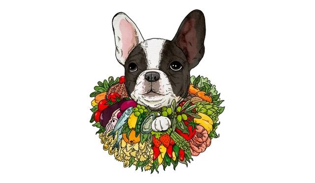 <strong>ART FILE 23｜「elBulli: Ferran Adrià and The Art of Food」</strong>　The Bulli dog © Andrew Rae