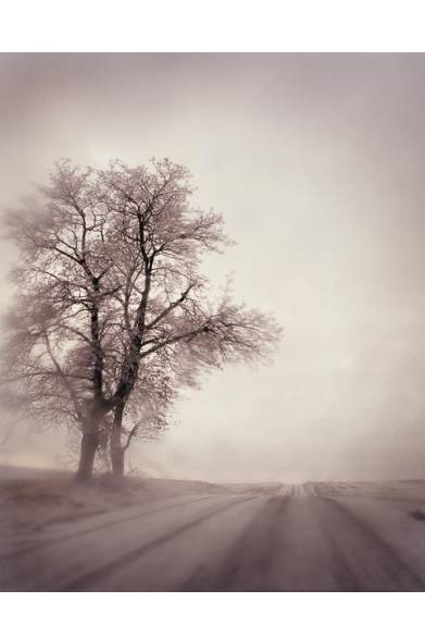 <strong>ART｜トッド・ハイドによる日本初の本格的な写真展をPOSTで開催</strong><br /><br />A ROAD DEVIDED （2010）<br /><br />トッド・ハイド写真展『Todd Hido』<br />会期│8月13日（火）～9月1日（日）　※月曜休み<br />時間│12:00～20:00<br />会場│POST<br />東京都渋谷区恵比寿南2-10-3　1F<br />Tel.03-3713-8670