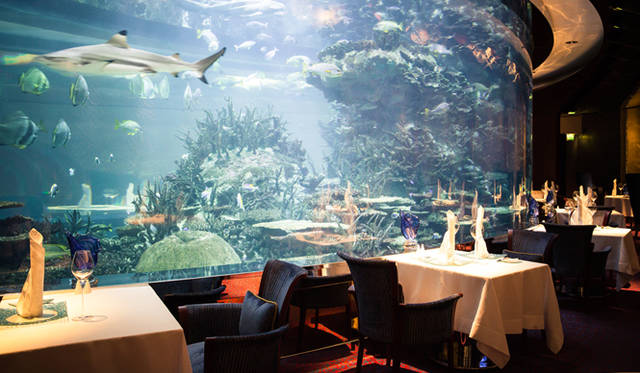 「アル・マハラ」