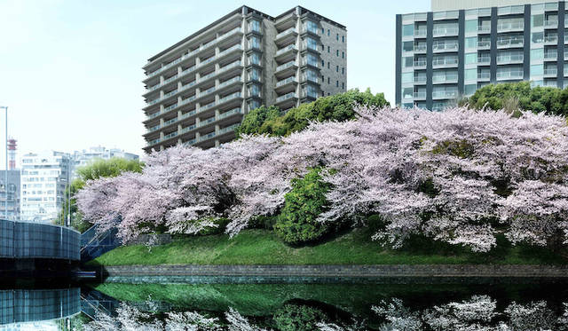 外観パース（濠側）