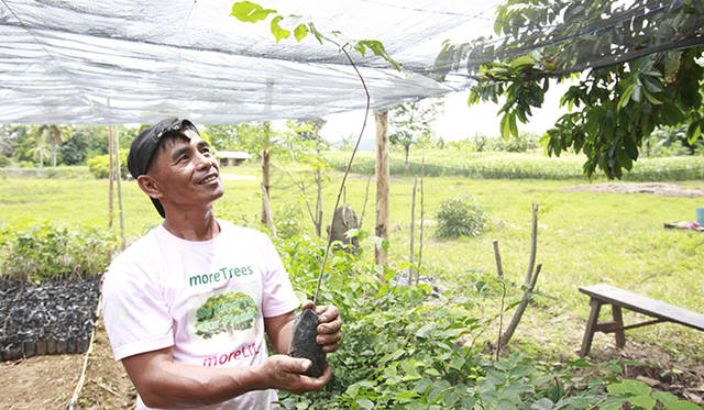 丹誠を込めて育てた苗木を見上げる。十分に育った苗木は、山に植林される
