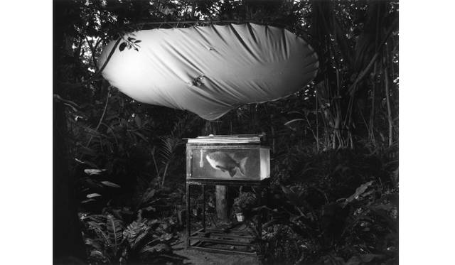 <strong>ART｜三好耕三写真展『1972～』をギャラリー916にて開催</strong>　© Kozo Miyoshi