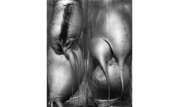 <strong>ART｜三好耕三写真展『1972～』をギャラリー916にて開催</strong>　© Kozo Miyoshi