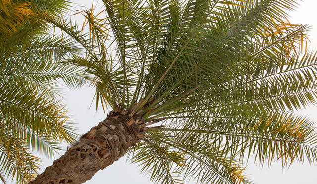 白砂のプライベートビーチ