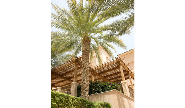 敷地の至るところにパームツリーが