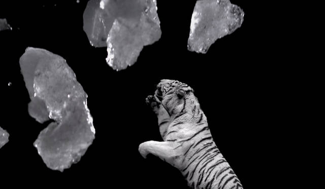 <strong>FURLA｜フルラ</strong>　秋冬シーズンを象徴する大迫力のビデオアート制作の舞台裏を公開