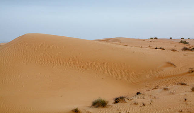 ランドローバーは3色。手前は黄色のランドローバー