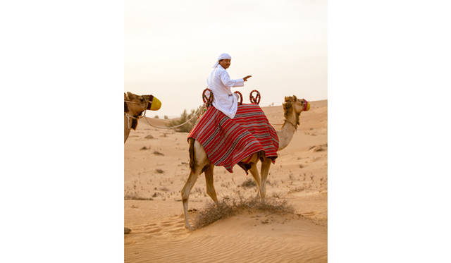 ランドローバーは3色。手前は黄色のランドローバー