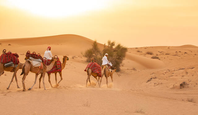 ランドローバーは3色。手前は黄色のランドローバー