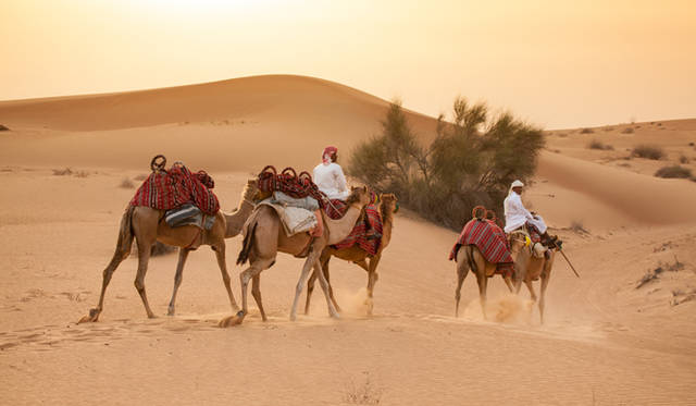 ランドローバーは3色。手前は黄色のランドローバー