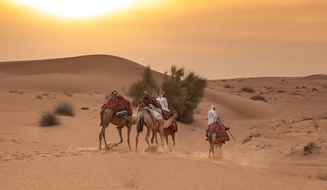 ランドローバーは3色。手前は黄色のランドローバー
