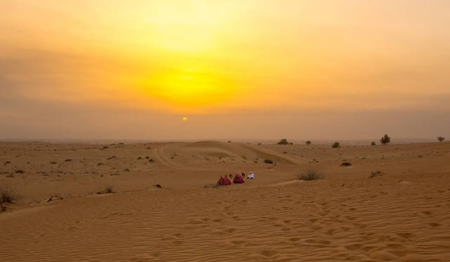 ランドローバーは3色。手前は黄色のランドローバー