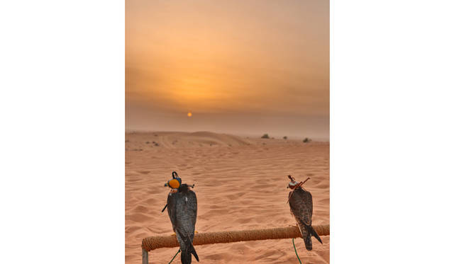 ランドローバーは3色。手前は黄色のランドローバー