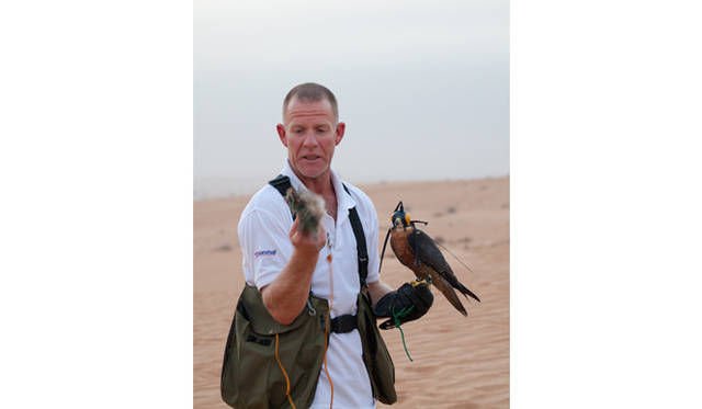 ランドローバーは3色。手前は黄色のランドローバー