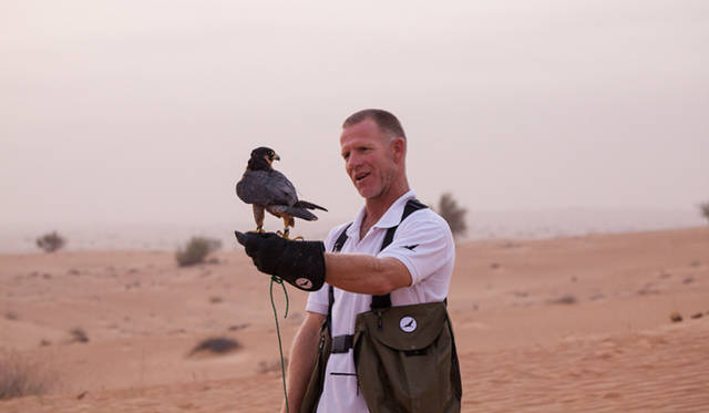 ランドローバーは3色。手前は黄色のランドローバー