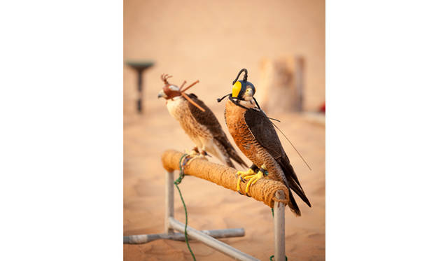 ランドローバーは3色。手前は黄色のランドローバー