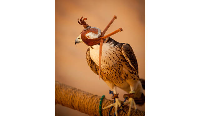 ランドローバーは3色。手前は黄色のランドローバー