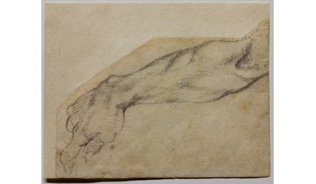 <strong>ART｜国立西洋美術館で『ミケランジェロ展―天才の軌跡』</strong>　ミケランジェロ・ブオナローティ ≪システィーナ礼拝堂天井画「ノアの酩酊」のための右腕の習作≫ 1508-09年頃、黒石墨/紙　フィレンツェ、カーサ・ブオナローティ所蔵 © Associazione Culturale Metamorfosi and Fondazione Casa Buonarroti 