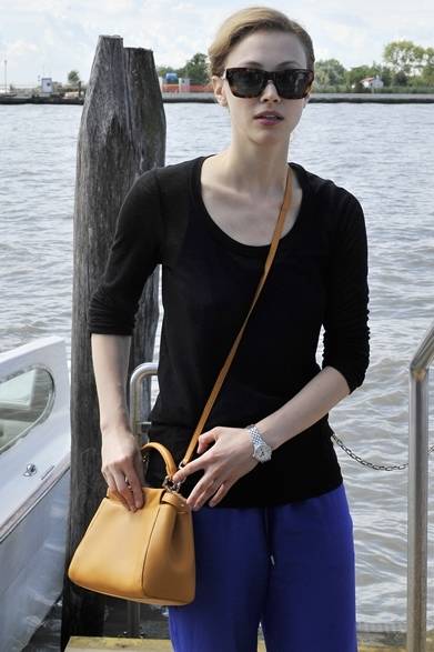 <strong>2013年 第70回ベネチア国際映画祭</strong>　（『』のプレミア上映にて）<br />