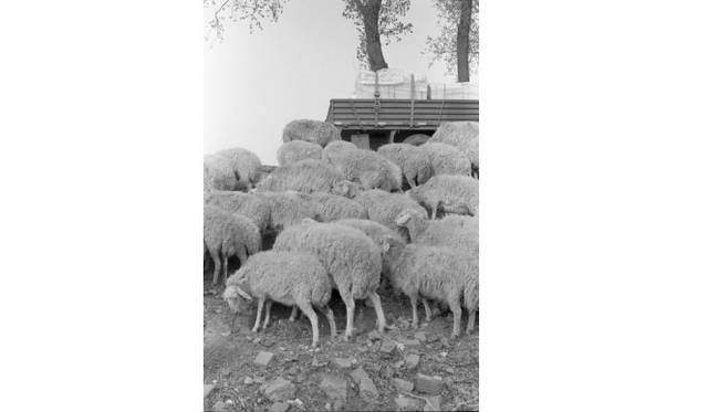 <strong>TOKYO PHOTO 2013｜出展作品を先行公開！</strong><br /><br /><strong>aura gallery (Beijing)</strong><br />Kuan Yun, Wenyu River Beijing, 2011Courtesy of aura gallery © Kuan Yun