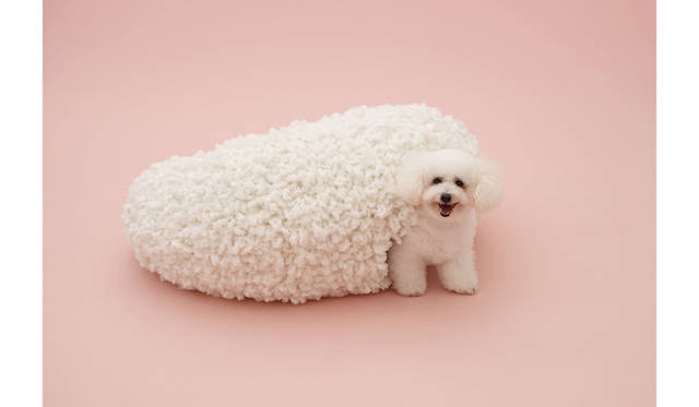 by 妹島和世 for ビションフリーゼ　©Hiroshi Yoda