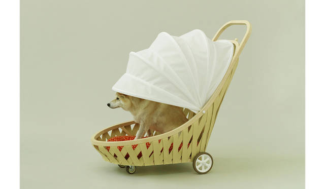 by 伊東豊雄 for 柴犬　©Hiroshi Yoda