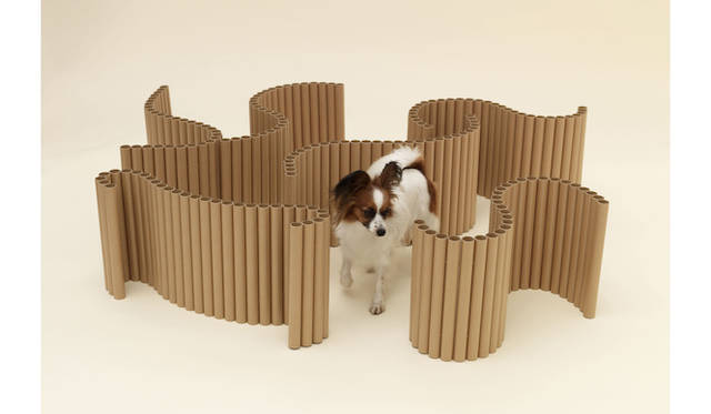 by 坂 茂 for パピヨン　©Hiroshi Yoda