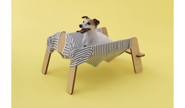 by トラフ建築設計事務所 for ジャックラッセルテリア　©Hiroshi Yoda