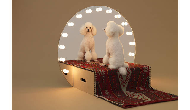 by コンスタンチン・グルチッチ for トイプードル　©Hiroshi Yoda　