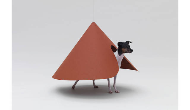 by 原デザイン研究所 for ジャパニーズテリア　©Hiroshi Yoda