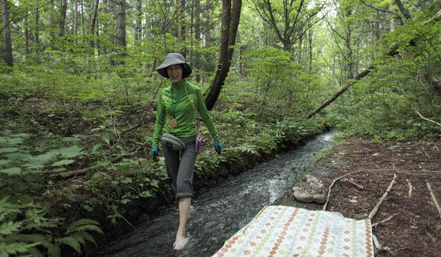 森のなかでは、緑のフィルターが太陽光線の80％を吸収し、有害な紫外線をカットしてくれる