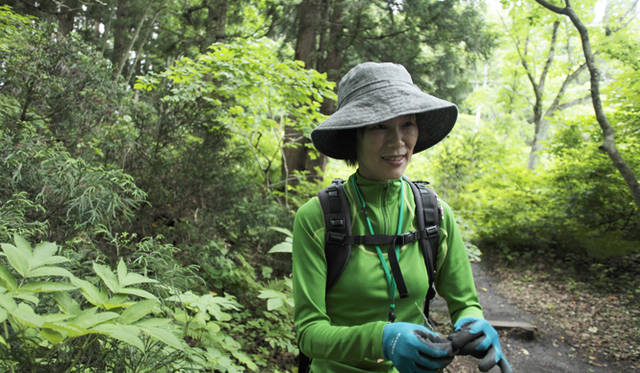 森のなかでは、緑のフィルターが太陽光線の80％を吸収し、有害な紫外線をカットしてくれる