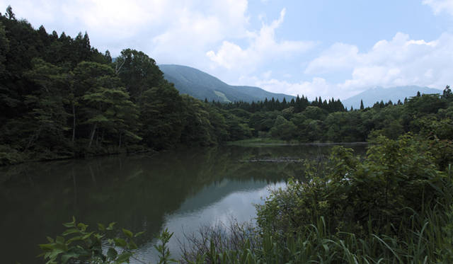 森のなかでは、緑のフィルターが太陽光線の80％を吸収し、有害な紫外線をカットしてくれる