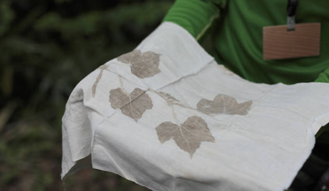 森のなかでは、緑のフィルターが太陽光線の80％を吸収し、有害な紫外線をカットしてくれる