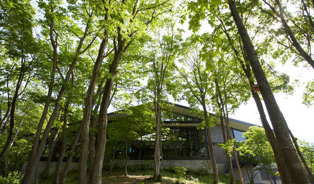 今回、旅の拠点とした「野尻湖ホテル エルボスコ」では、もっと気軽に自然に触れ合いたいという人のために、ホテルの目の前に広がる「エルボスコの森」を、森林メディカルトレーナーとともに散策する滞在プランも