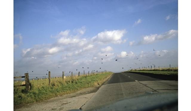 <strong>TOKYO PHOTO｜東京フォト代表 原田知大氏にインタビュー！</strong><br />「車窓からの眺め - 森山大道 ジョエル・マイヤロヴィッツ ジョン・ディヴォラ」<br />Joel Meyerowitz, Pictures From 