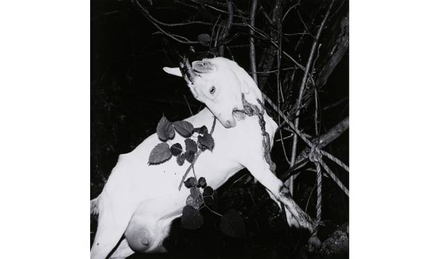 <strong>ART｜須田一政写真展『凪の片』を東京都写真美術館で開催</strong>　＜風姿花伝＞より≪山形・銀山温泉≫ 1976年　東京都写真美術館蔵