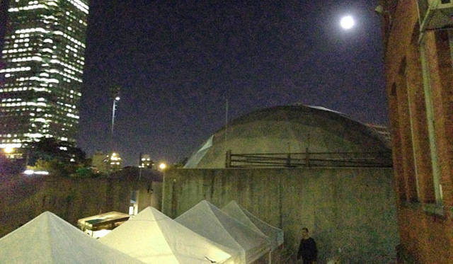 <strong>マシュー・ワォルドマン Vol.34</strong>　外にあるドームも展示空間として使われています