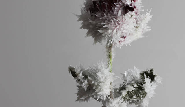 <strong>東京都現代美術館</strong>　吉岡徳仁の個展「TOKUJIN YOSHIOKA_Crystallize」開催