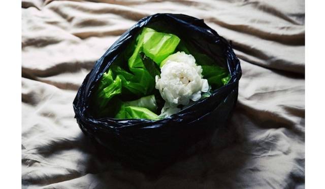 <strong>ART｜写真家ティム・バーバー新作展『Relations 』</strong>　Untitled (peony), 2011